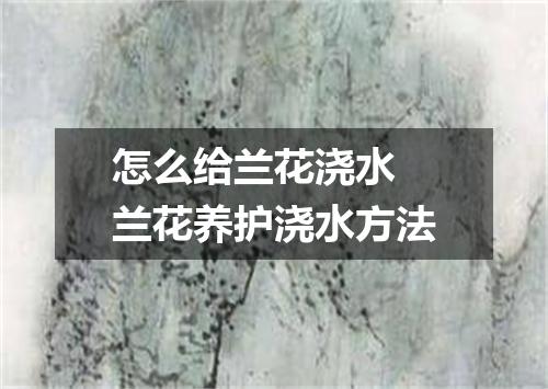 怎么给兰花浇水 兰花养护浇水方法