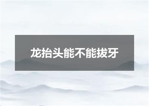 龙抬头能不能拔牙
