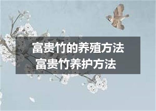 富贵竹的养殖方法 富贵竹养护方法