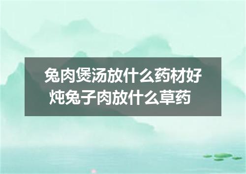 兔肉煲汤放什么药材好 炖兔子肉放什么草药