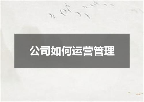 公司如何运营管理