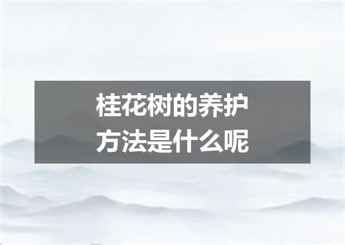桂花树的养护方法是什么呢