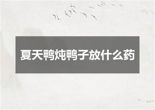 夏天鸭炖鸭子放什么药