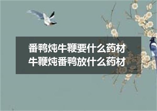 番鸭炖牛鞭要什么药材 牛鞭炖番鸭放什么药材