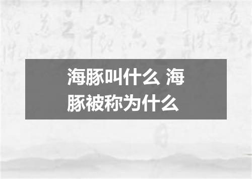 海豚叫什么 海豚被称为什么