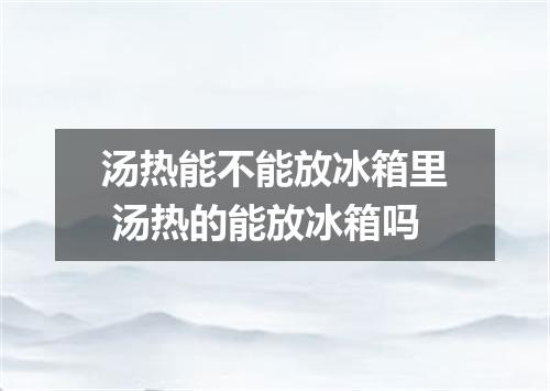 汤热能不能放冰箱里 汤热的能放冰箱吗