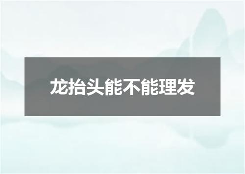 龙抬头能不能理发