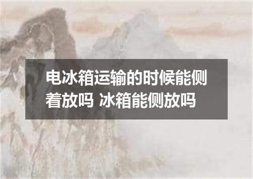 电冰箱运输的时候能侧着放吗 冰箱能侧放吗