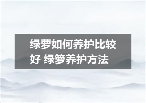 绿萝如何养护比较好 绿箩养护方法