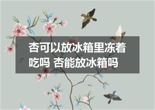 杏可以放冰箱里冻着吃吗 杏能放冰箱吗