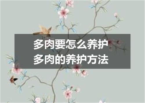 多肉要怎么养护 多肉的养护方法