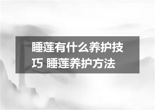 睡莲有什么养护技巧 睡莲养护方法