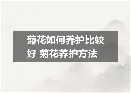 菊花如何养护比较好 菊花养护方法