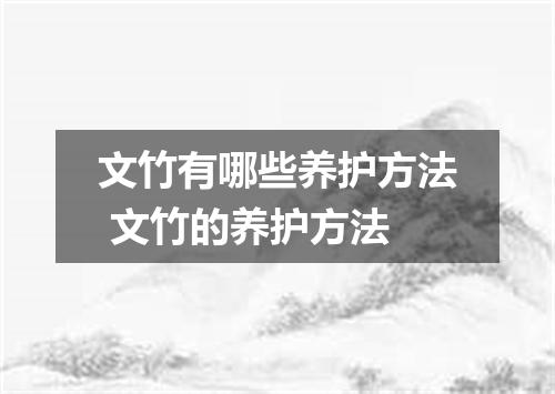 文竹有哪些养护方法 文竹的养护方法