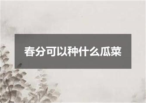 春分可以种什么瓜菜