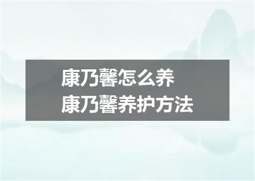 康乃馨怎么养 康乃馨养护方法
