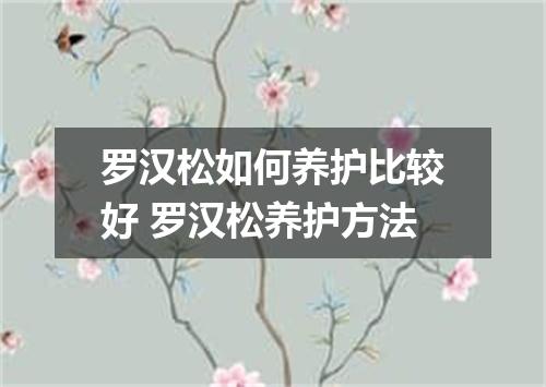 罗汉松如何养护比较好 罗汉松养护方法