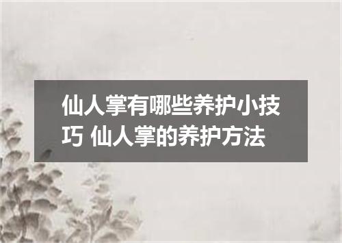 仙人掌有哪些养护小技巧 仙人掌的养护方法