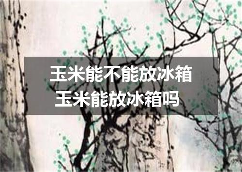 玉米能不能放冰箱 玉米能放冰箱吗