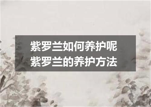紫罗兰如何养护呢 紫罗兰的养护方法