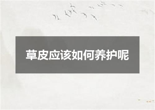 草皮应该如何养护呢