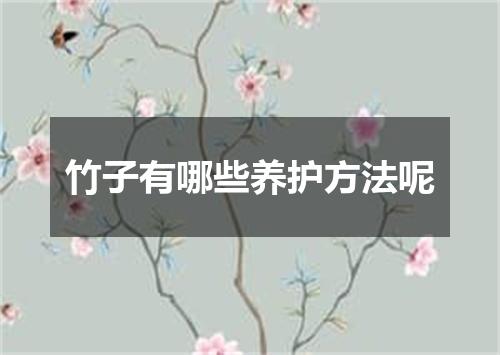 竹子有哪些养护方法呢