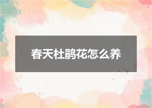 春天杜鹃花怎么养