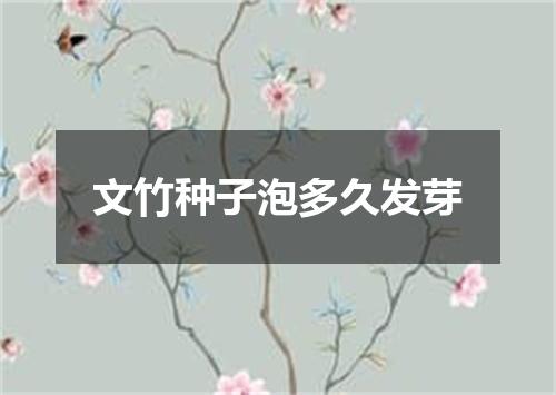 文竹种子泡多久发芽