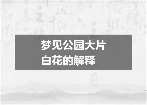 梦见公园大片白花的解释