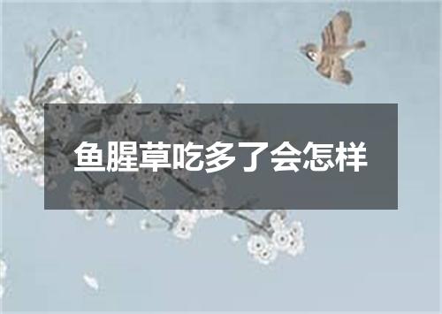 鱼腥草吃多了会怎样
