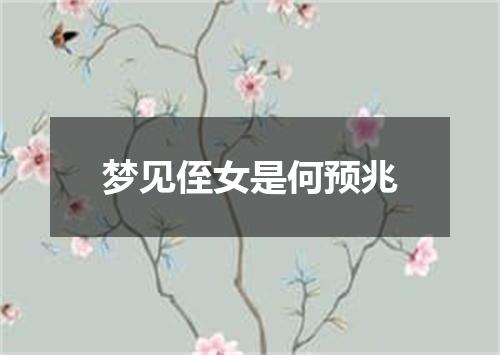 梦见侄女是何预兆