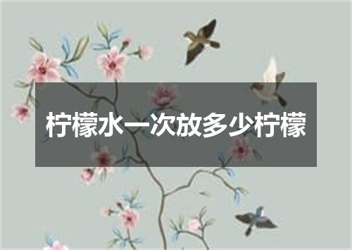 柠檬水一次放多少柠檬