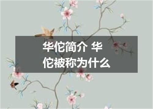 华佗简介 华佗被称为什么