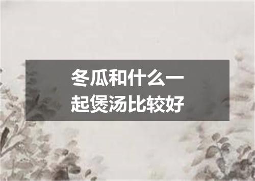 冬瓜和什么一起煲汤比较好