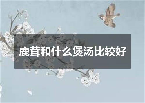 鹿茸和什么煲汤比较好