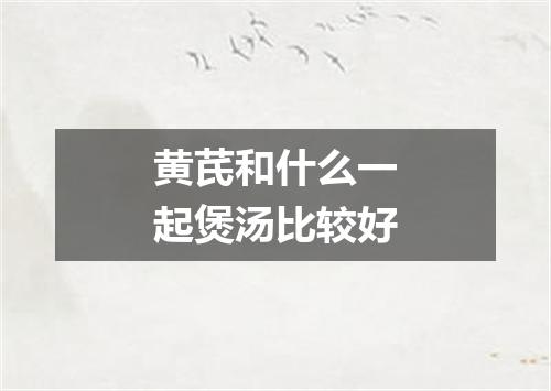 黄芪和什么一起煲汤比较好