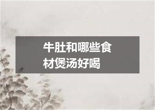 牛肚和哪些食材煲汤好喝