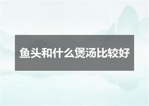 鱼头和什么煲汤比较好