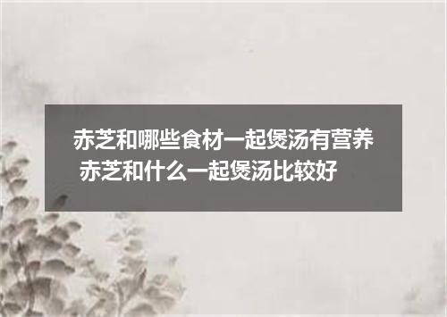 赤芝和哪些食材一起煲汤有营养 赤芝和什么一起煲汤比较好