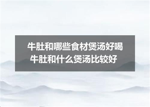 牛肚和哪些食材煲汤好喝 牛肚和什么煲汤比较好
