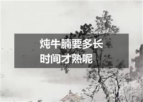 炖牛腩要多长时间才熟呢