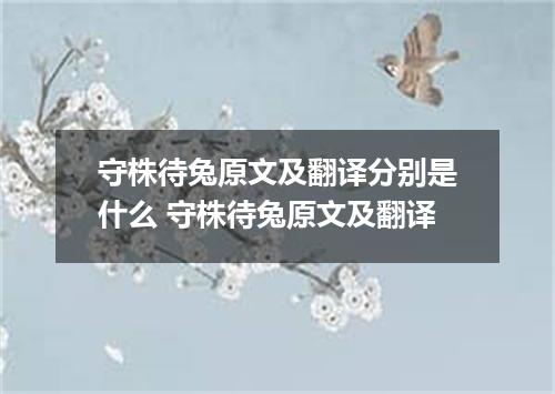 守株待兔原文及翻译分别是什么 守株待兔原文及翻译