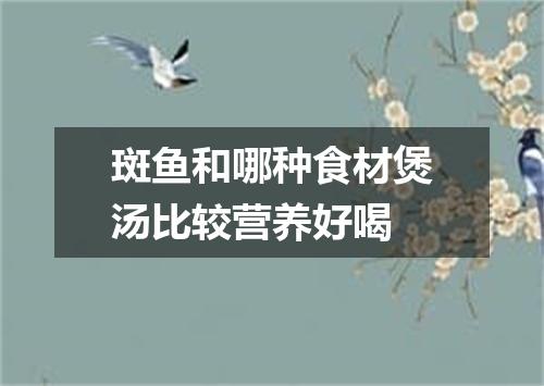 斑鱼和哪种食材煲汤比较营养好喝