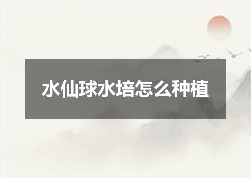 水仙球水培怎么种植