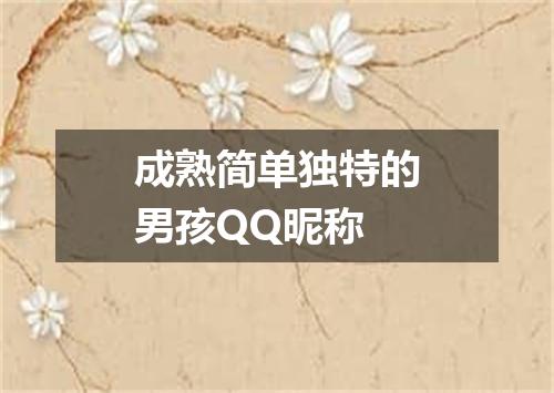 成熟简单独特的男孩QQ昵称
