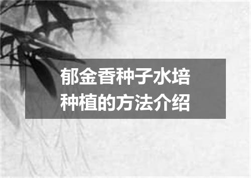 郁金香种子水培种植的方法介绍