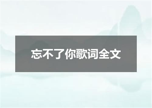忘不了你歌词全文