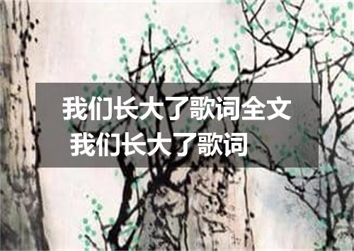 我们长大了歌词全文 我们长大了歌词