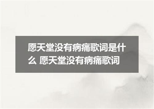 愿天堂没有病痛歌词是什么 愿天堂没有病痛歌词