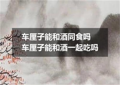 车厘子能和酒同食吗 车厘子能和酒一起吃吗